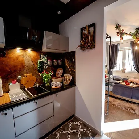 Apartament Poranek W Górach Ustrzyki Dolne Zewnętrze zdjęcie