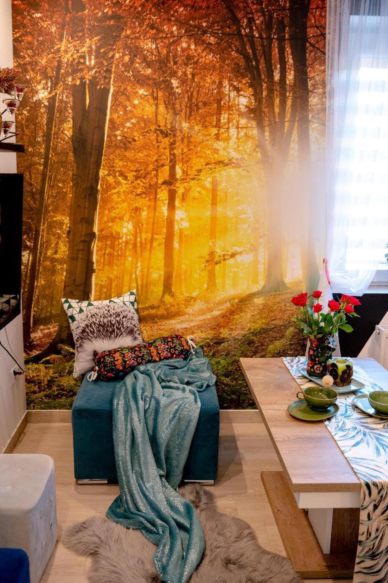 Poranek W Górach Apartament Ustrzyki Dolne